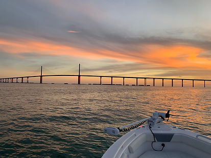 Skyway.jpeg