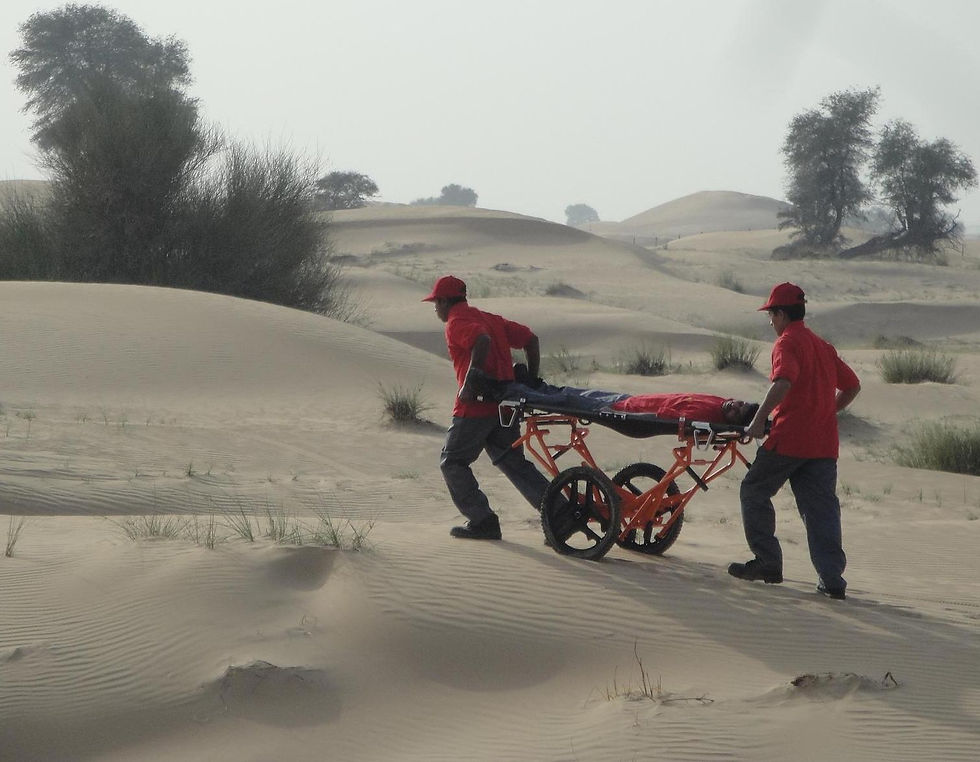 Thumbnail: EL2000 PATIENT TRANSPORT CART