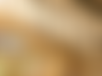 Insurance Is Protection: We Can’t Crowdfund Our Way Out of Crisis