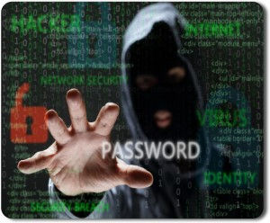 MSD Passwords Crack Full Product Key