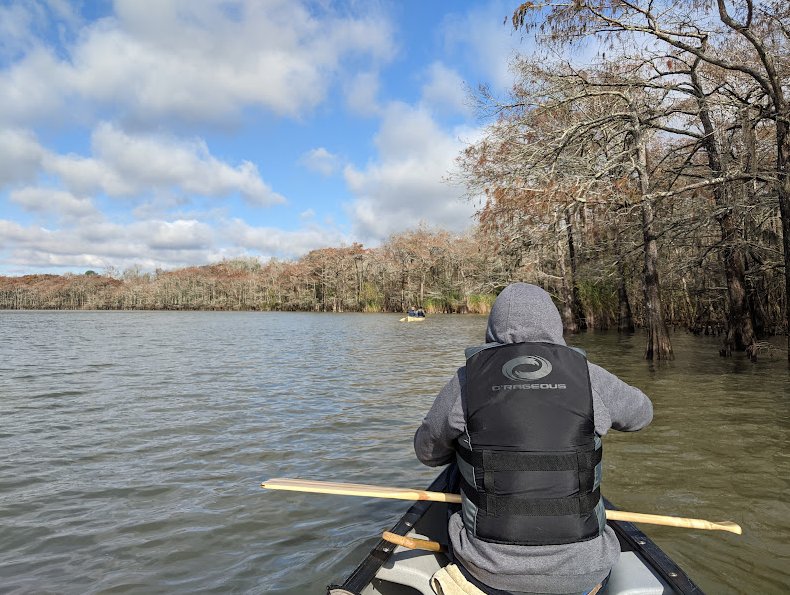 On Lake Charlotte the cypress trees smelled like creosote. The yellow canoe would not stay in front for long.