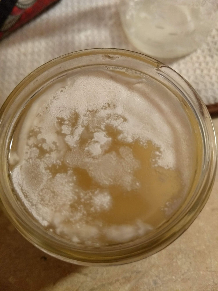 Using (Fermented) Kahm Yeast to make a Gluten Free Sourdough Starter