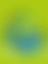 Descubra como trabalhar a responsabilidade social na sua empresa