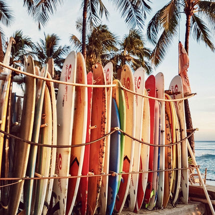 surfboards