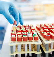 AdobeStock_155821549 (1).jpeg