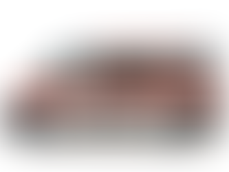 A fianco della Croce Rossa Italiana