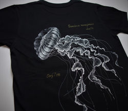 ｱﾏｸｻｸﾗｹﾞ･手描き部分