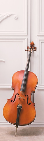 violin viola lesson