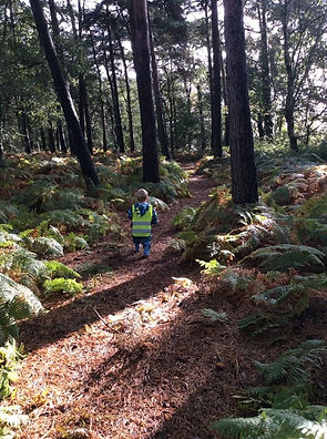 Child in forest.jpeg