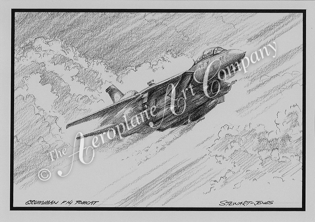 Grumman F-14 Tomcat