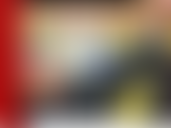 10 anos sem Plínio de Arruda Sampaio