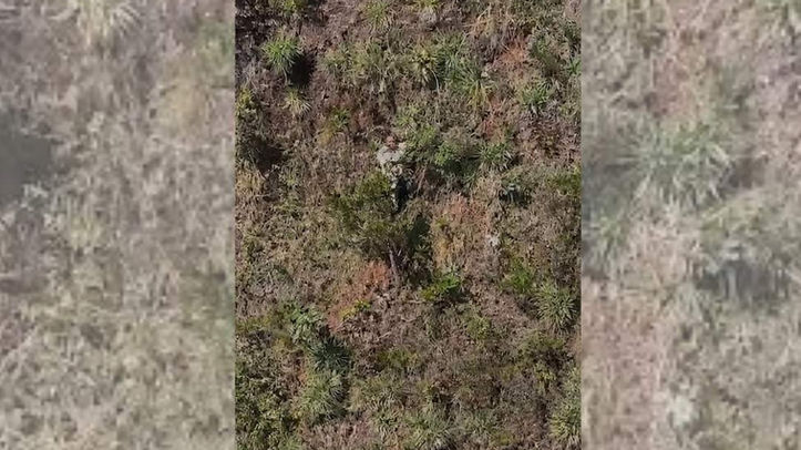 Uma mulher jogada de um penhasco! Enquanto o Estado silencia, a violência machista está descontrolada