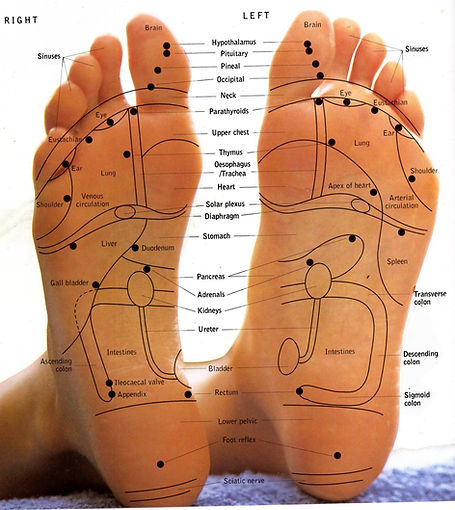 Reflexology.jpg