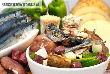 喵全10號(網)_edited.jpg