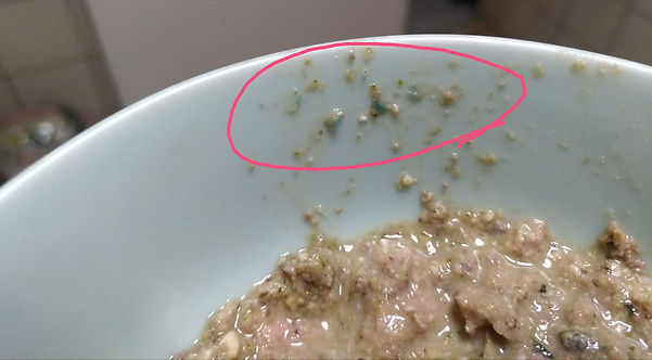 客人拍的2.jpeg