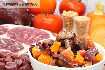 喵全28號(網)_edited.jpg