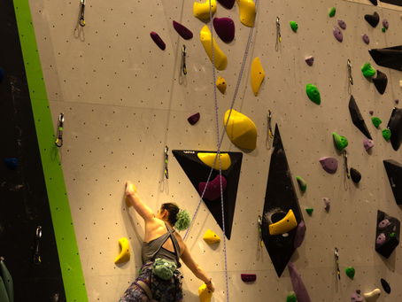 From Plastic Holds to Gold. How do National and International Competitions work?