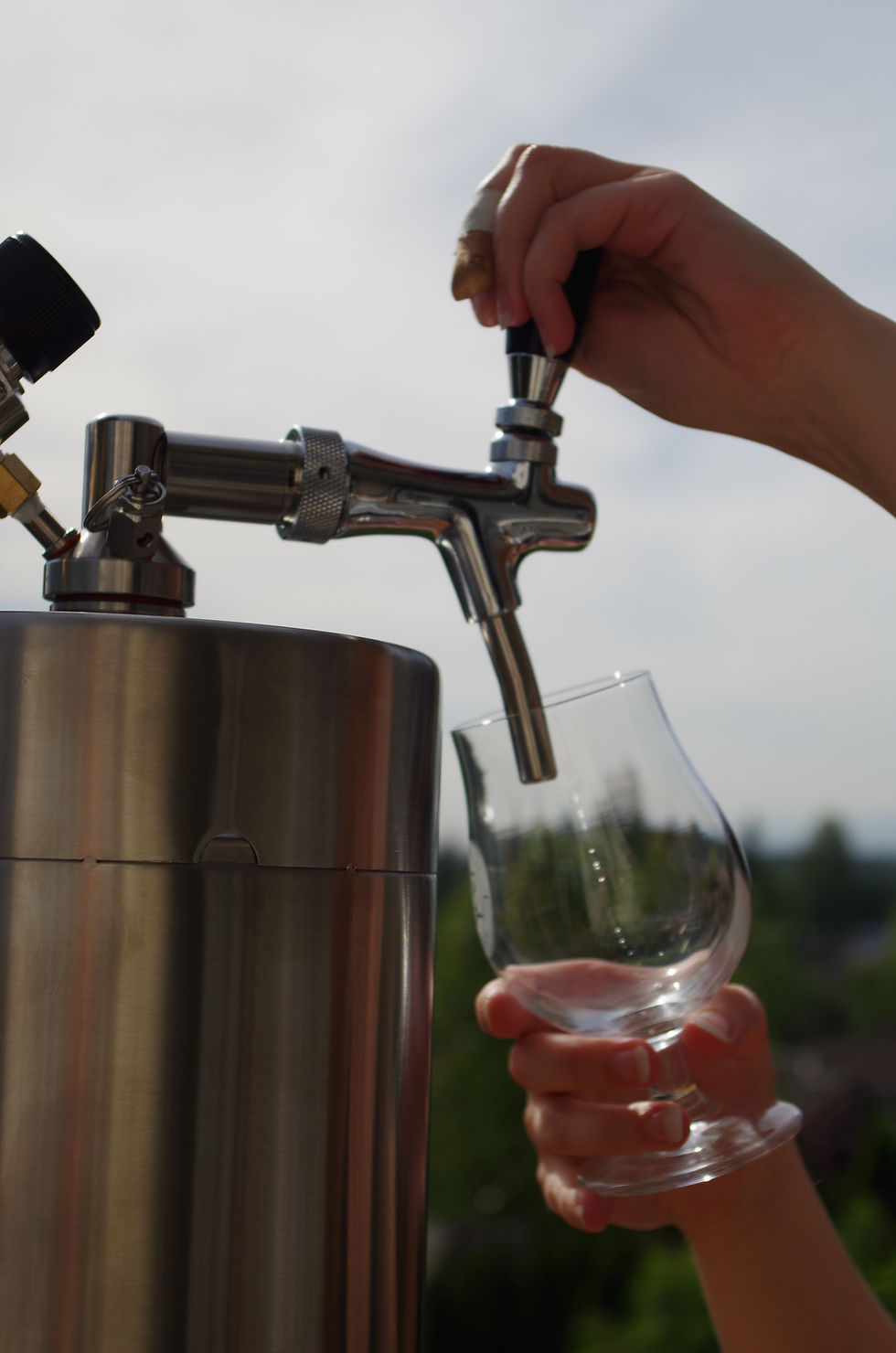 Thumbnail: 1 gallon (128oz) Stainless Steel mini-keg with tap and CO2 pressure regulator.