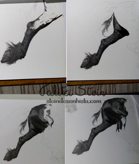 Friesian: Desenho realista de cavalo Frísio baseado em foto de