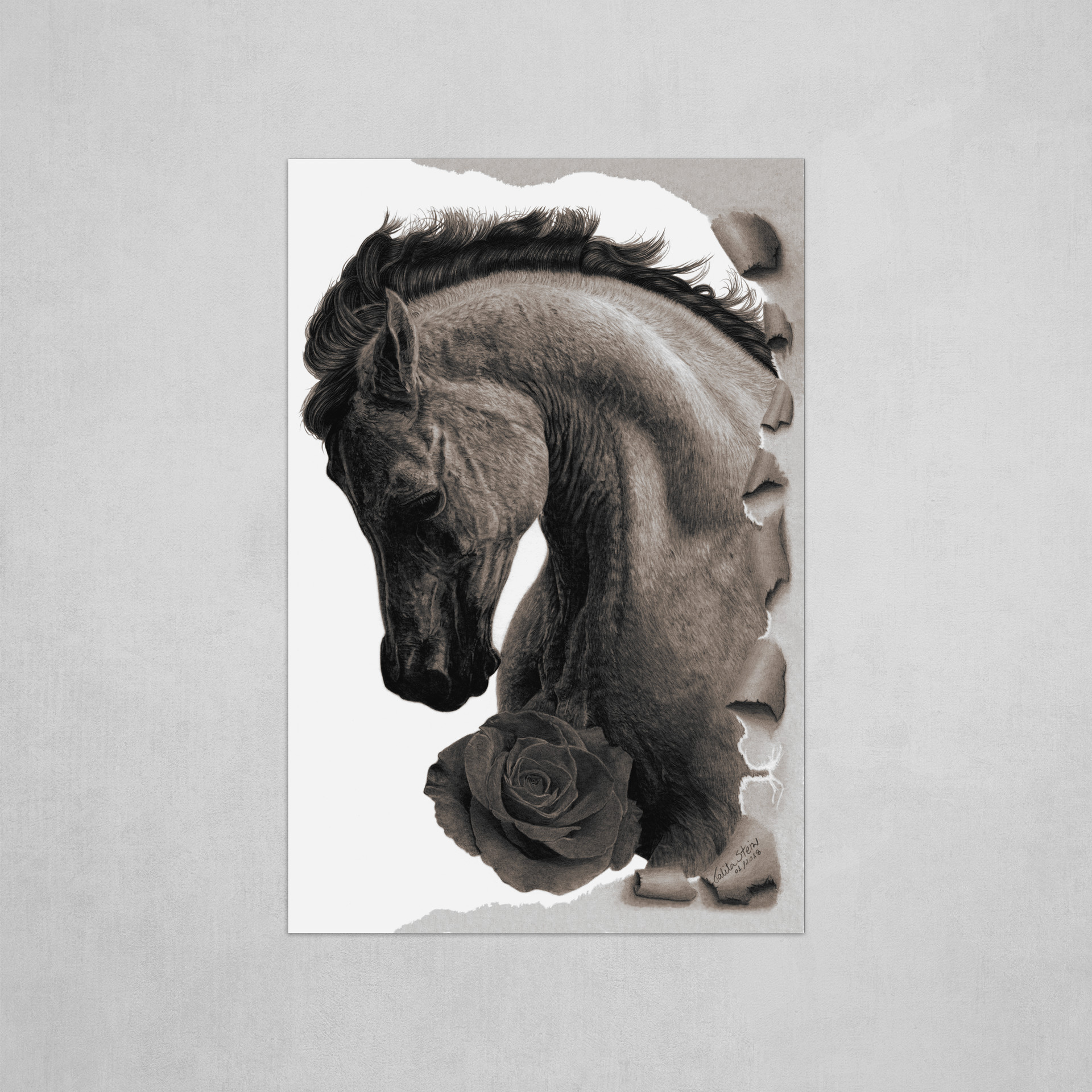 Envelhecido / Aged / Envejecido