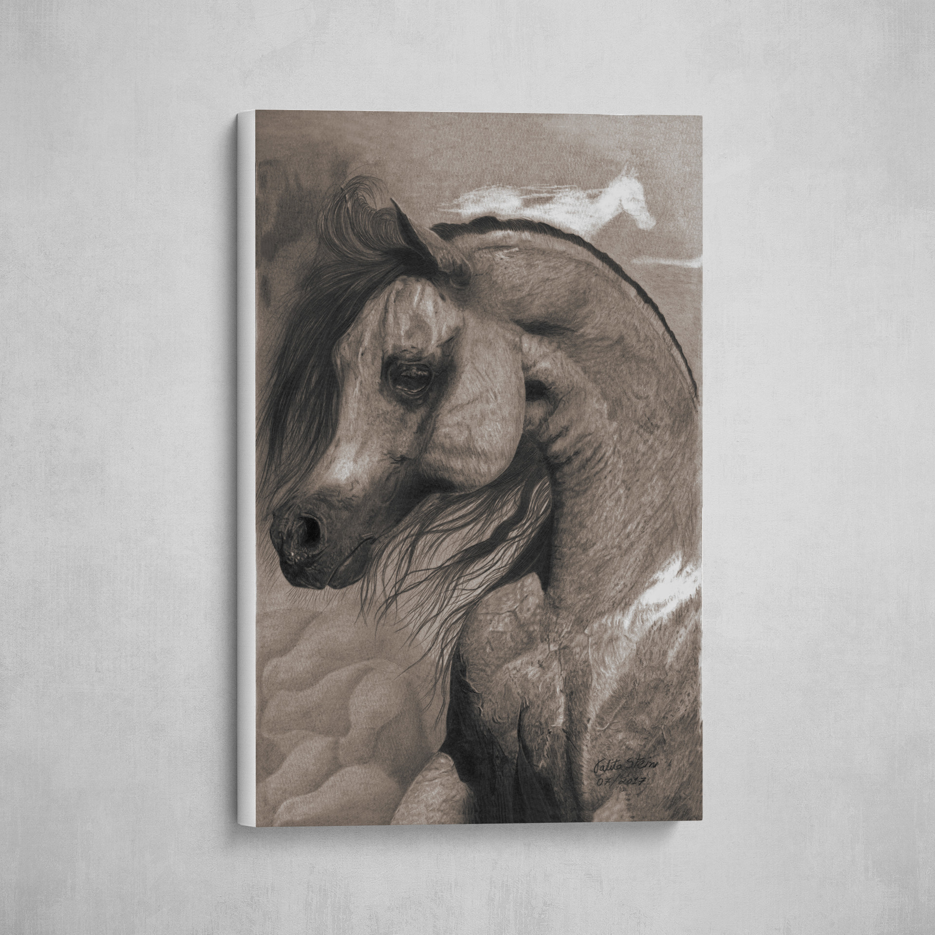 Envelhecido / Aged / Envejecido