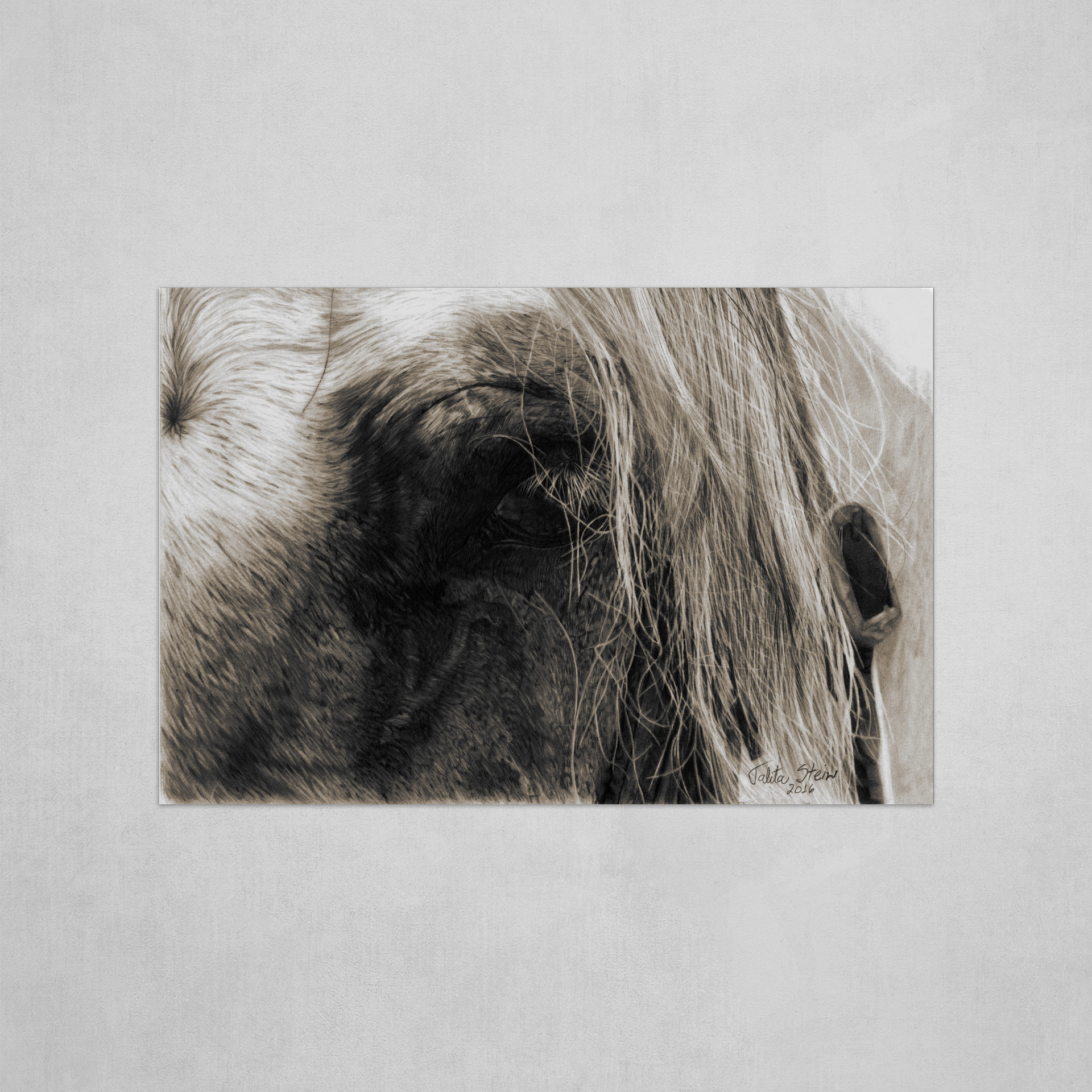 Envelhecido / Aged / Envejecido