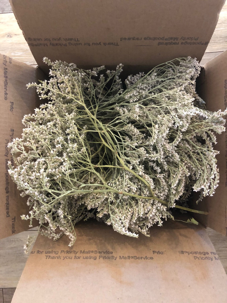 Bulk German Statice (Small Case) Limonium Tataricum Wholesale (Dried