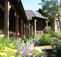 305-0596_IMG.JPG