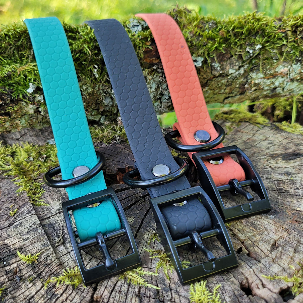 Miniaturbild: Hexa Halsband, Breite 20mm, mit Dornschnalle