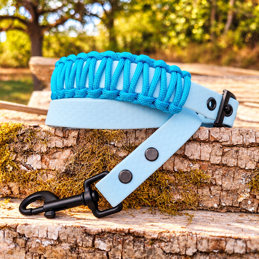Miniaturbild: HEXA Halsband mit Paracord