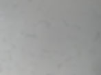 Carrara White Sj*
