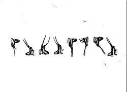 Scanned Butterfly Composition