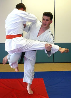 Sam & Peter - Jujitsu Lang Park