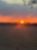 IMG_6378.jpeg