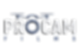 PCF SHADOW .png