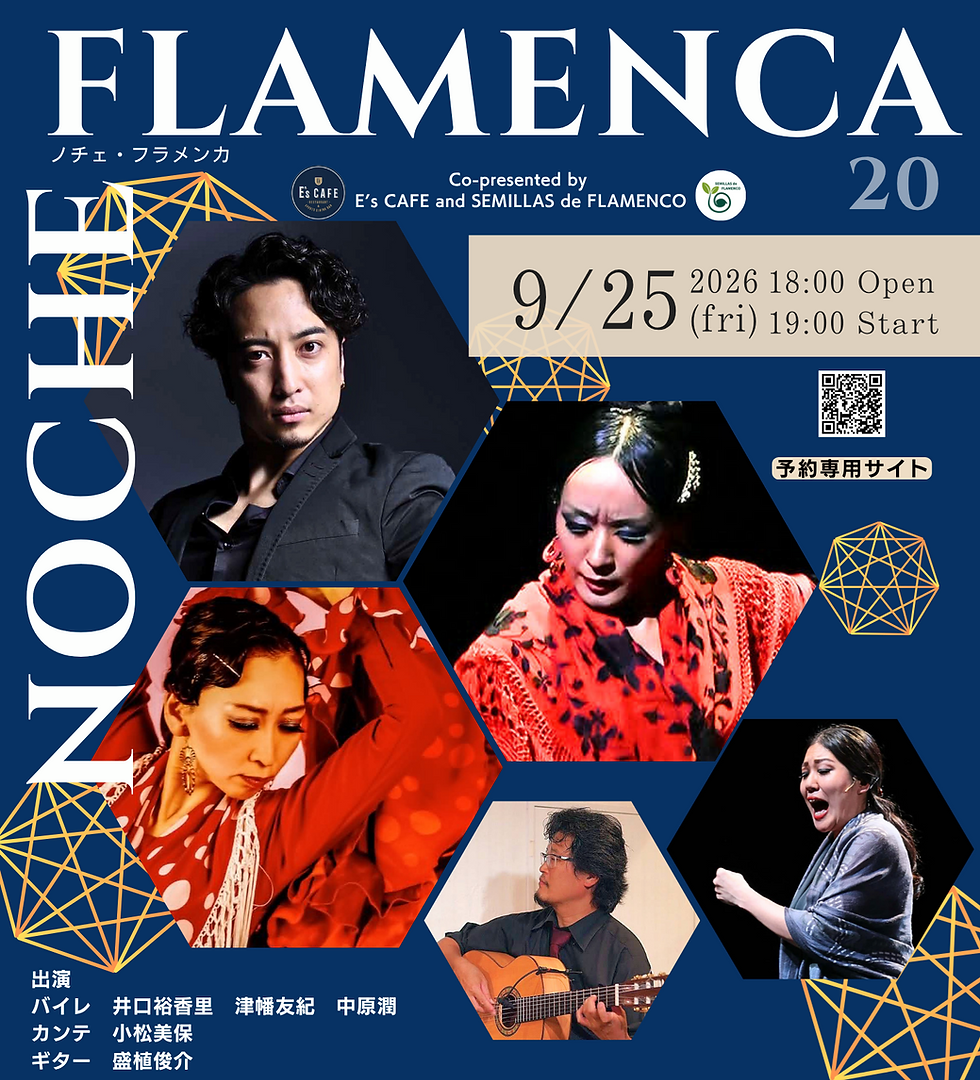 NOCHE FLAMENCA20