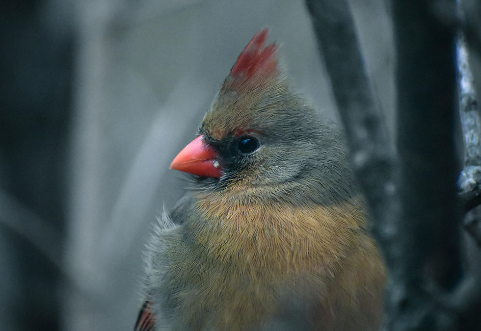 Photo by Chris F from Pexels