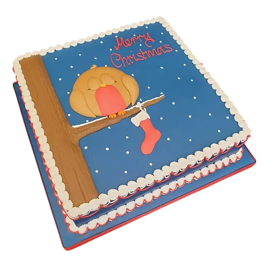 Bespoke Robin Christmas cake with festive holly and berries decoration in Solihull, West Midlands.