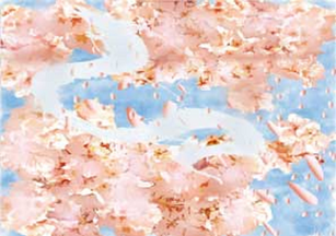 熊谷 遥花