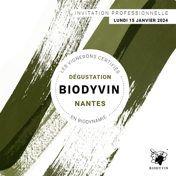 Biodyvin_Storie (002).jpg