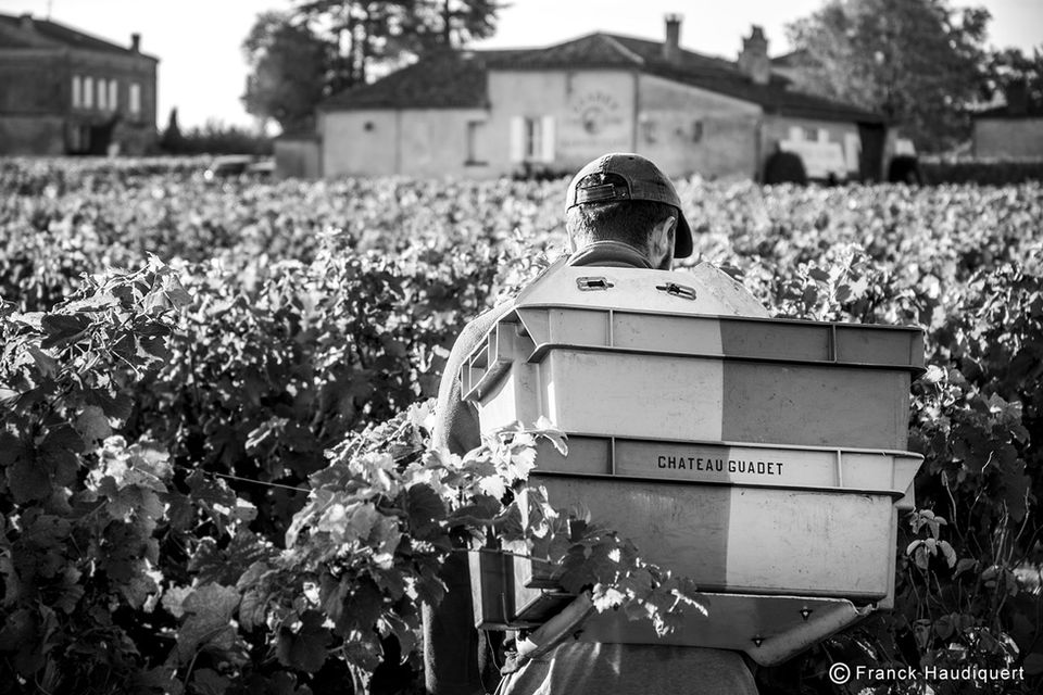 Guadet-Vendanges2018-03.jpg