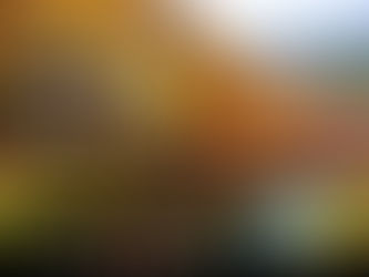 🍶 11月・任選二瓶 |嚴選風味 × 秋日風景