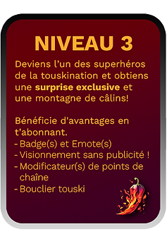 pastille niveau 3 touskitv