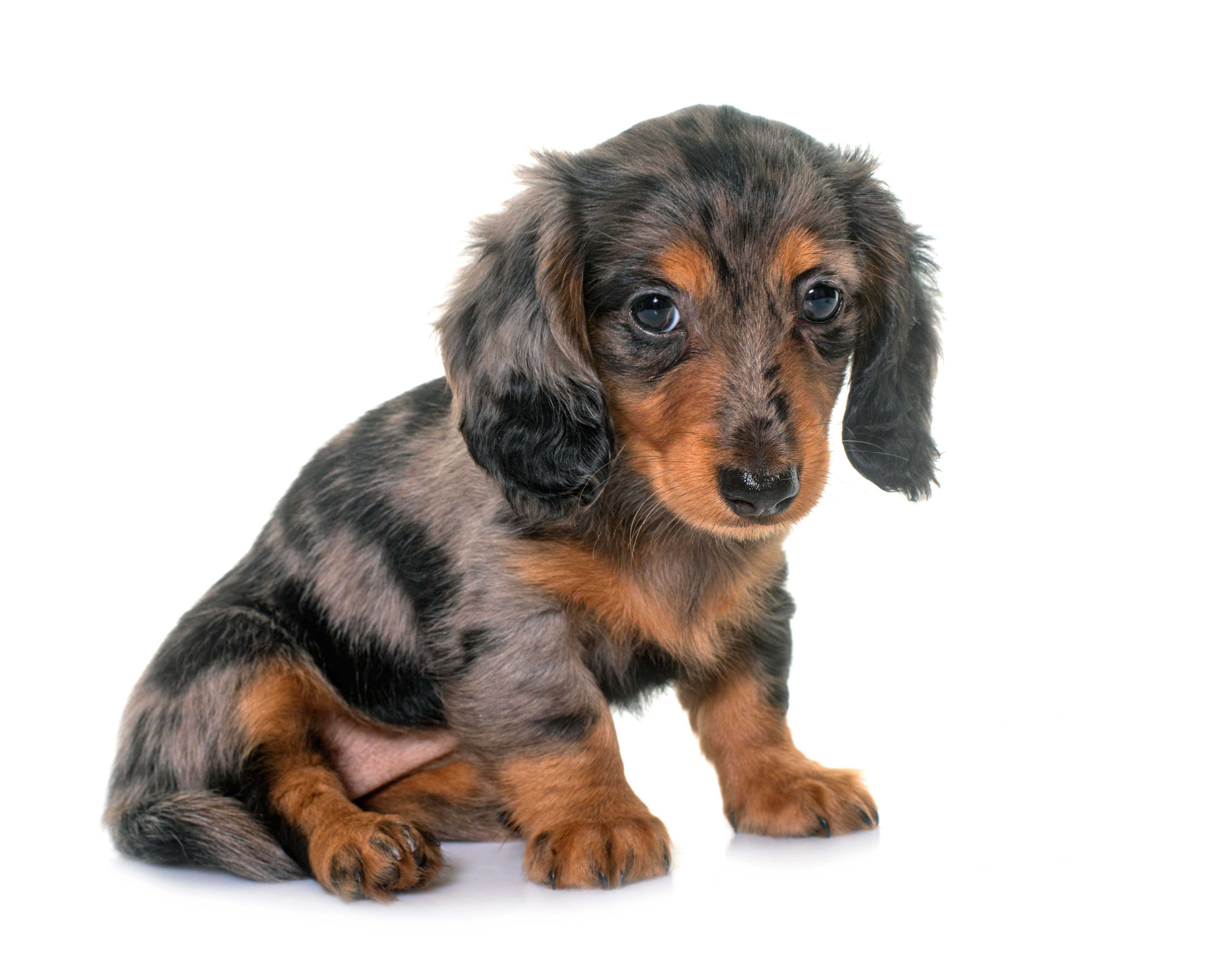 shutterstock_1789255274.jpg