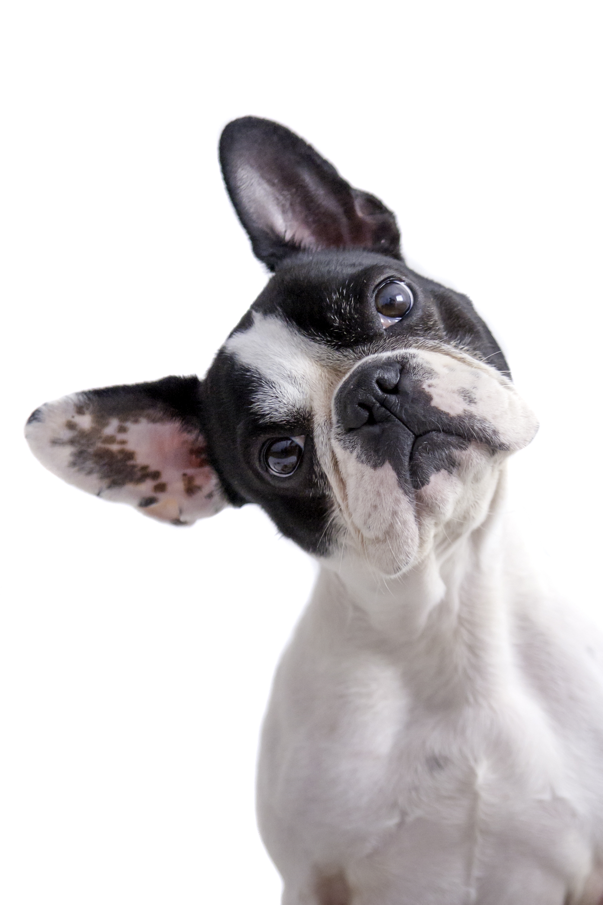 shutterstock_205931446.jpg