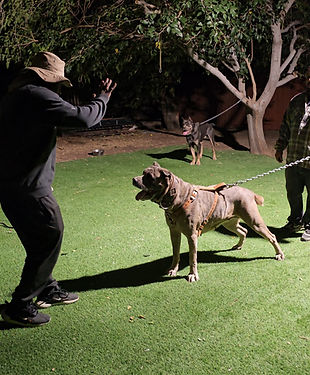 20251025_210105_exported_0.JPG