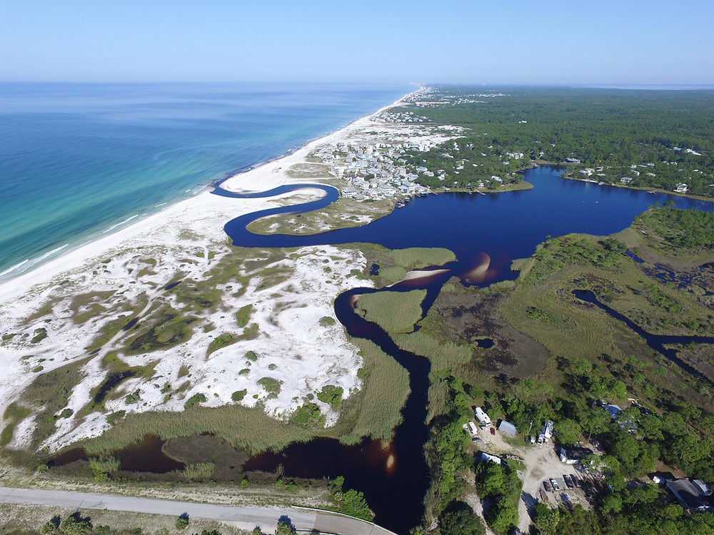 Grayton Beach Sate Park