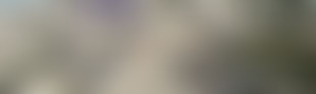 Desechan consulta pública