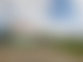 Defiende Toyota planta en México