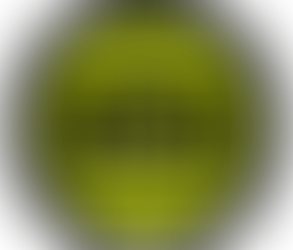 Importante riconoscimento internazionale